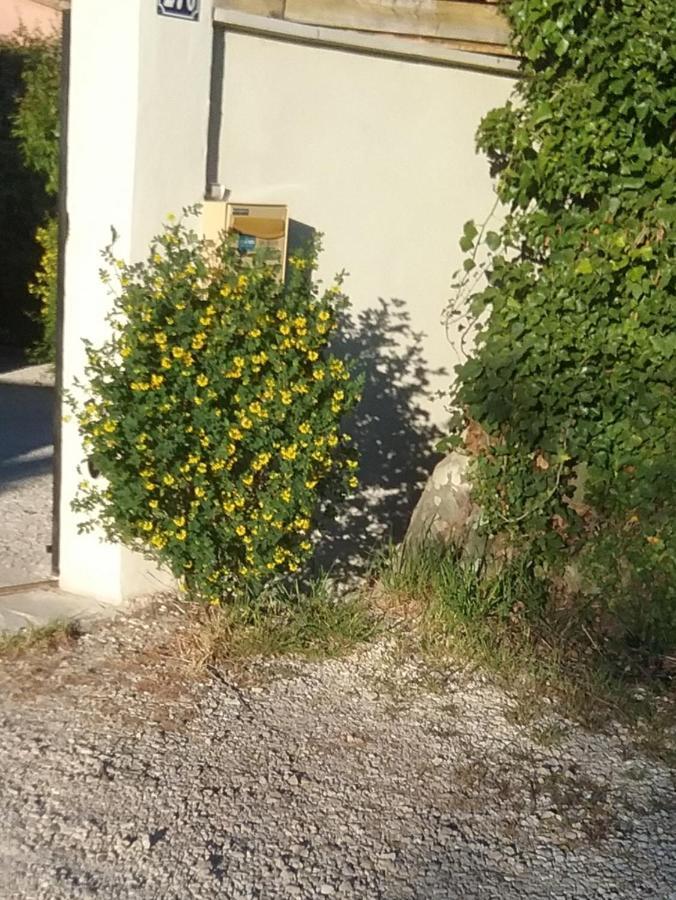 Une Chambre En Ville LʼIsle-sur-la-Sorgue Eksteriør billede