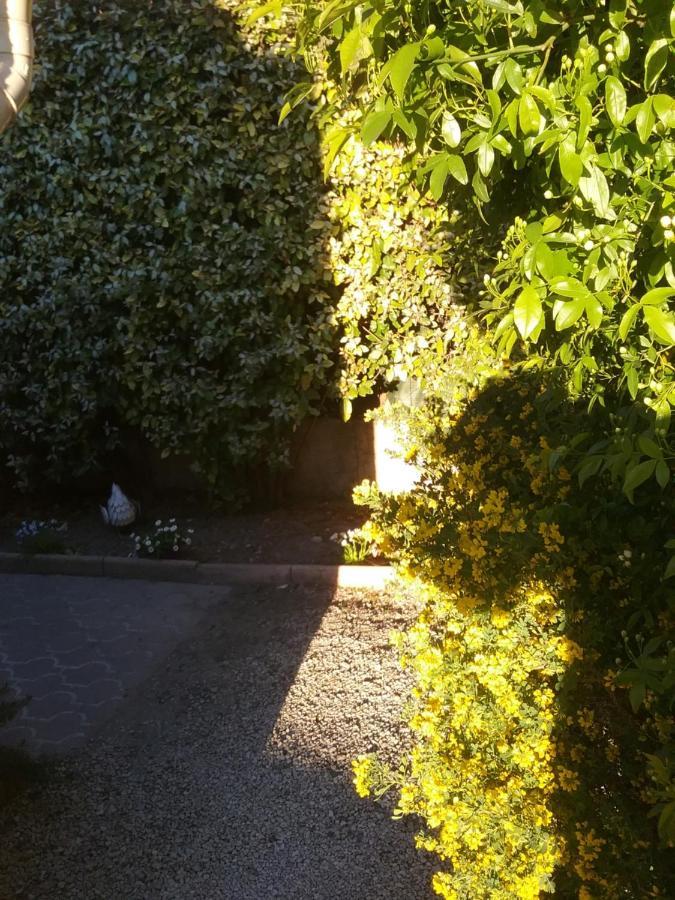 Une Chambre En Ville LʼIsle-sur-la-Sorgue Eksteriør billede